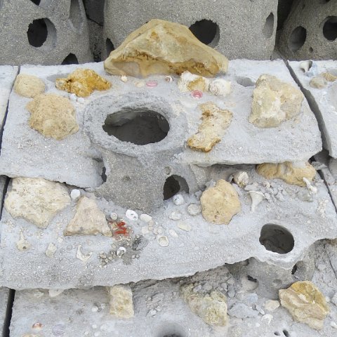 Module5 Module5