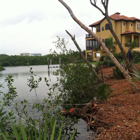 2012-06-06 12.54.36 2012-06-06 12.54.36