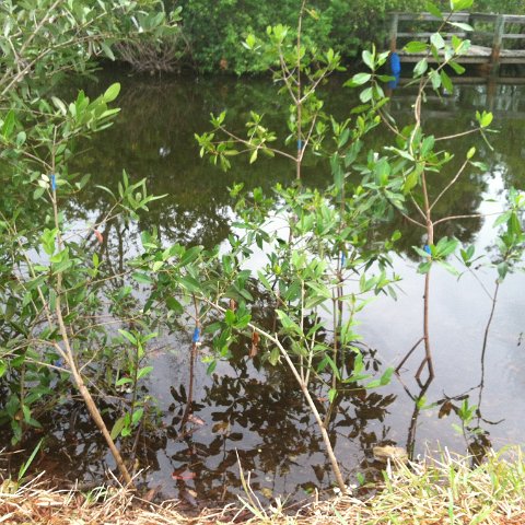 2012-06-06 17.20.47 2012-06-06 17.20.47