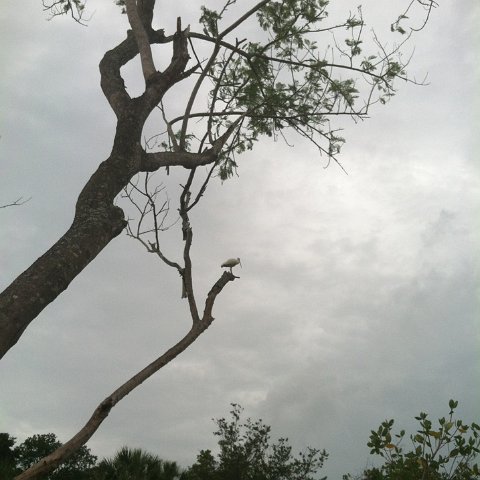 2012-06-06 17.31.44 2012-06-06 17.31.44