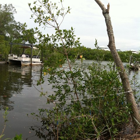 IMG_0885 IMG_0885