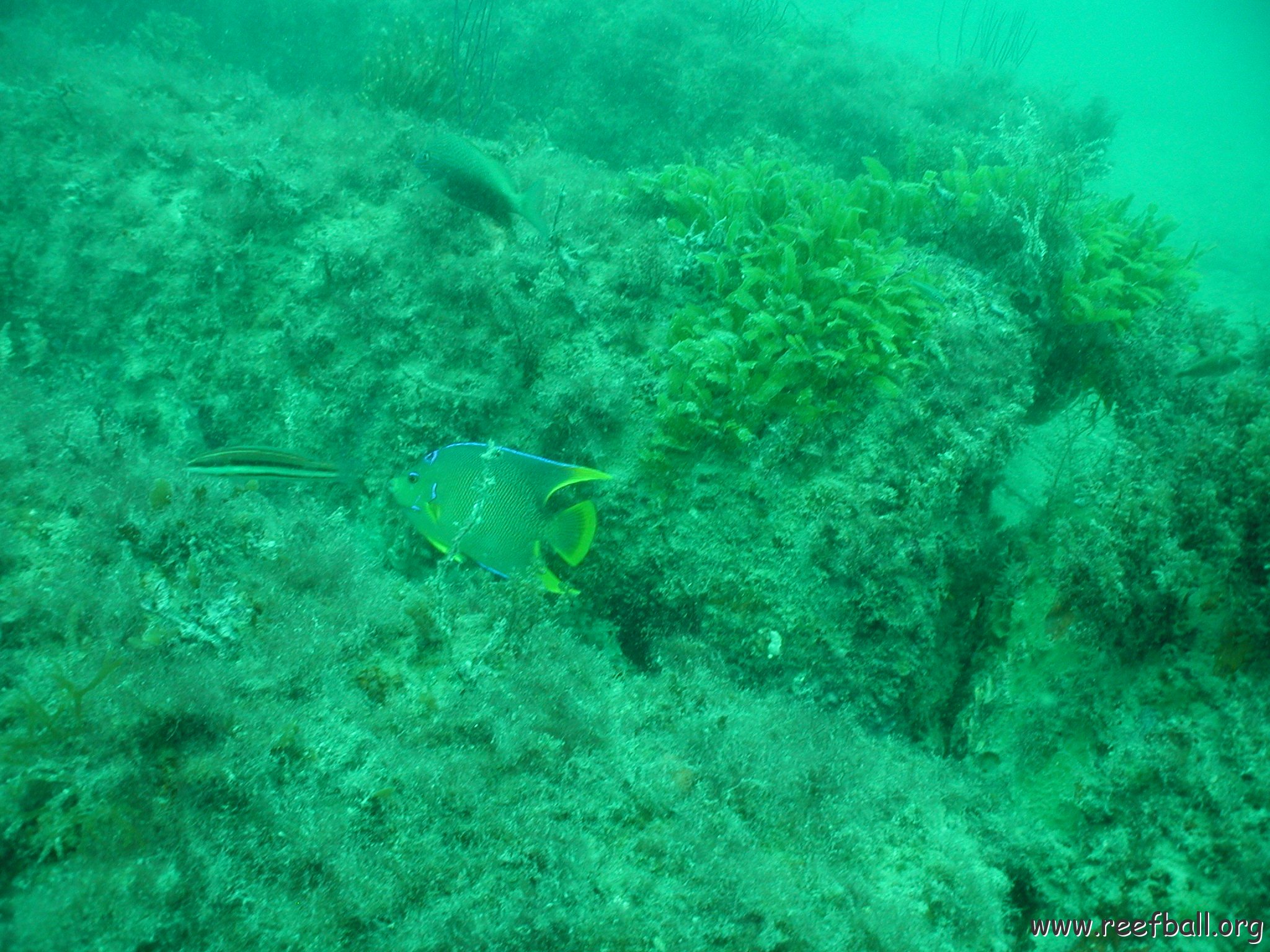 P7072648