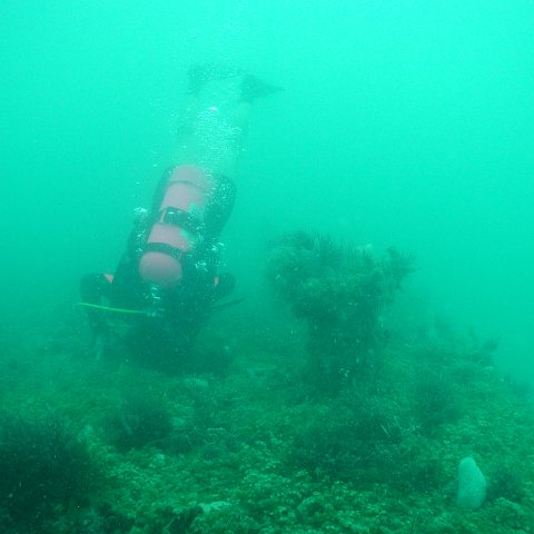 P7072696 P7072696