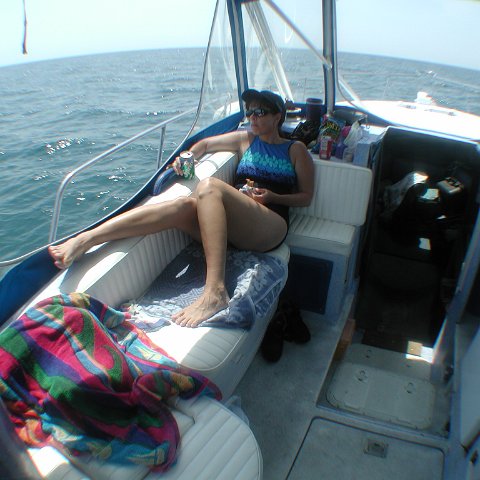 P7072729 P7072729