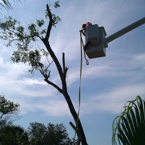 IMAG1356 IMAG1356