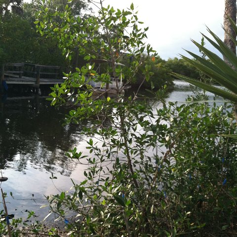 IMG_0598 IMG_0598