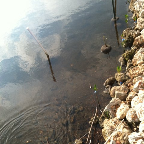 IMG_0600 IMG_0600