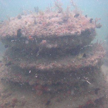 greatburialreefs greatburialreefs