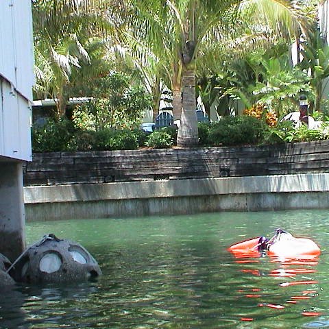 dsc00200 dsc00200