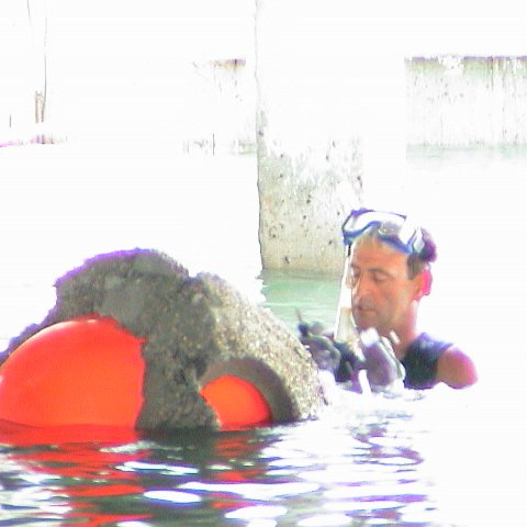 dsc00204 dsc00204