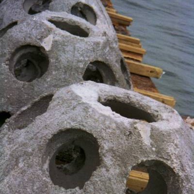 lorianbudswindellreef lorianbudswindellreef