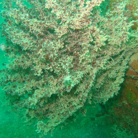 IMG_4786 IMG_4786