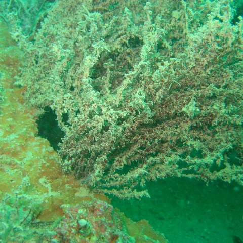 IMG_4789 IMG_4789