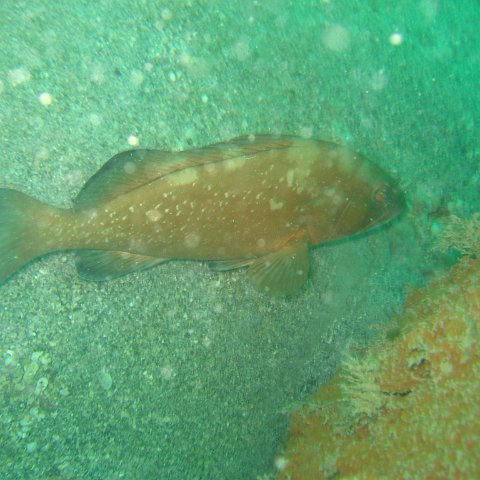 IMG_4792 IMG_4792