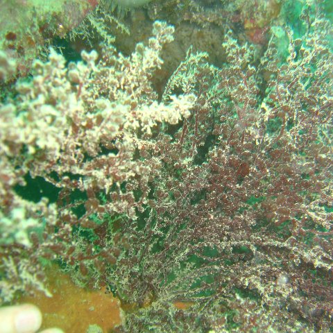 IMG_4793 IMG_4793