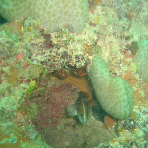IMG_4798 IMG_4798