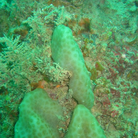 IMG_4805 IMG_4805