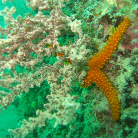IMG_4808 IMG_4808
