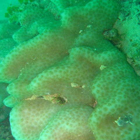 IMG_4815 IMG_4815