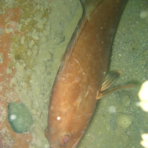 IMG_4819 IMG_4819