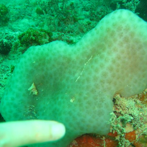 IMG_4824 IMG_4824