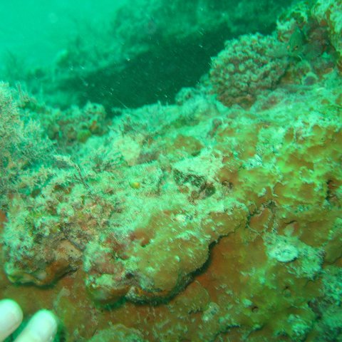IMG_4825 IMG_4825