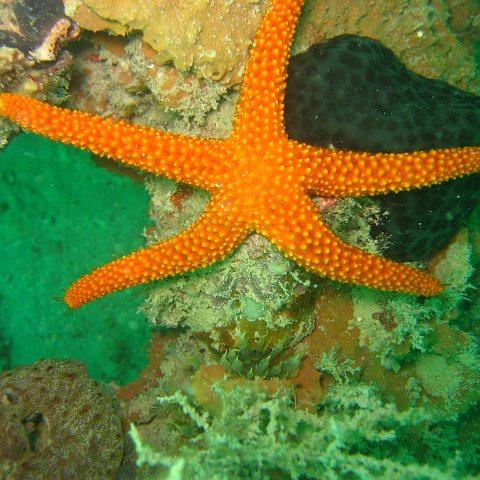 IMG_4826 IMG_4826