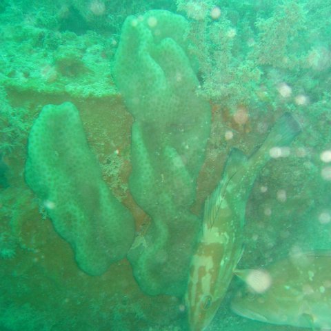 IMG_4828 IMG_4828