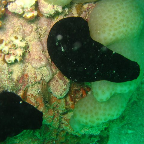 IMG_4834 IMG_4834