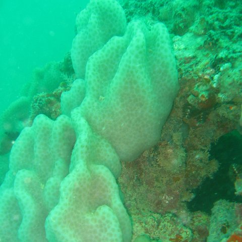 IMG_4836 IMG_4836