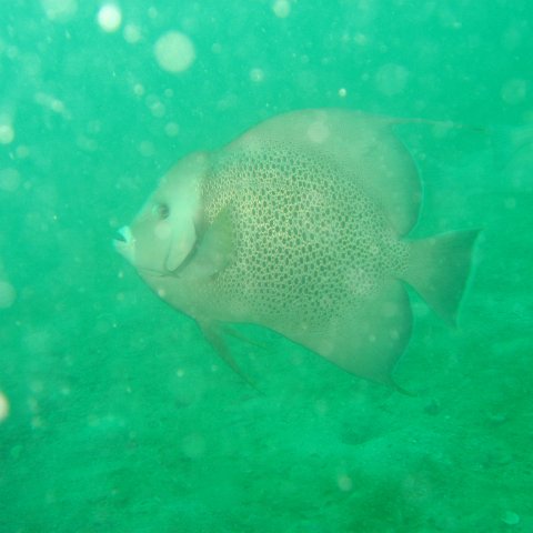 IMG_4838 IMG_4838