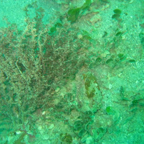IMG_4840 IMG_4840
