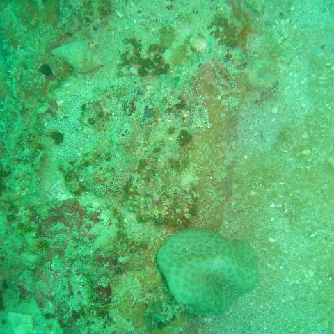 IMG_4849 IMG_4849