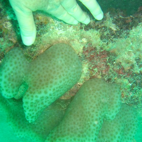 IMG_4854 IMG_4854