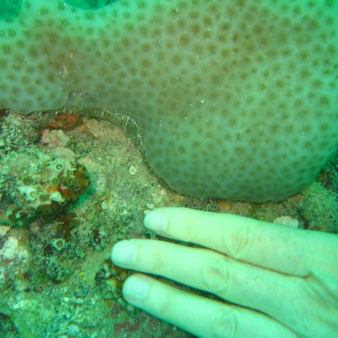 IMG_4855 IMG_4855