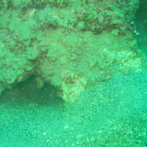 IMG_4860 IMG_4860