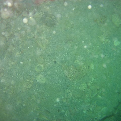 IMG_4870 IMG_4870