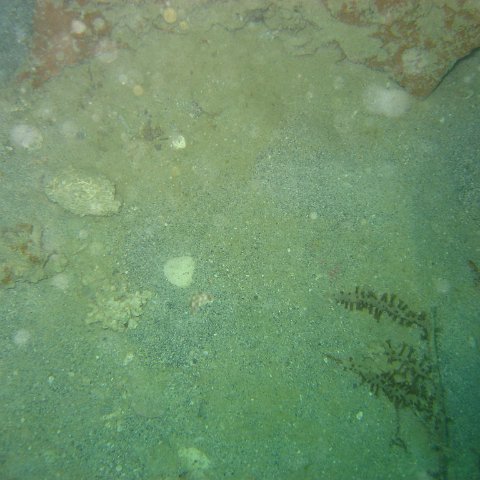 IMG_4871 IMG_4871