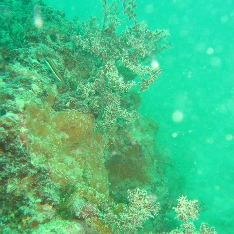 IMG_4878 IMG_4878