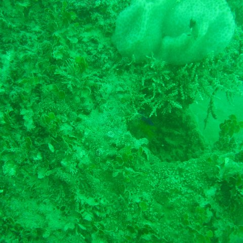 IMG_4884 IMG_4884