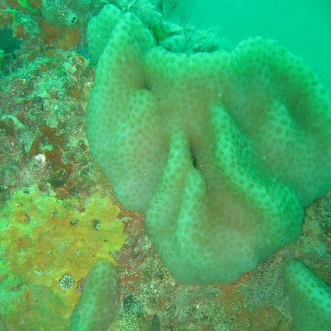 IMG_4886 IMG_4886