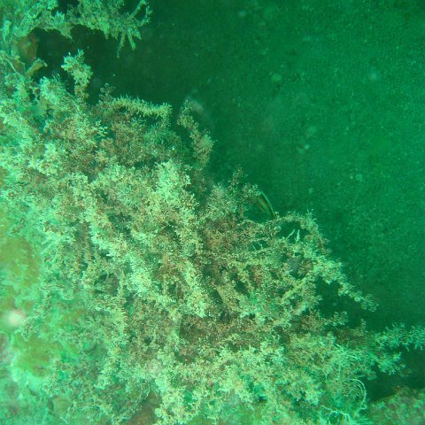 IMG_4888 IMG_4888