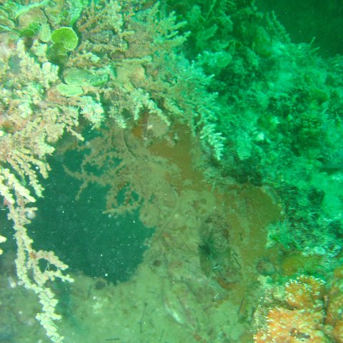 IMG_4895 IMG_4895