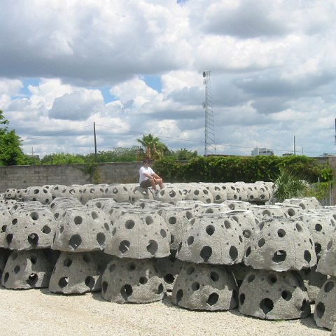IMG_0265 IMG_0265