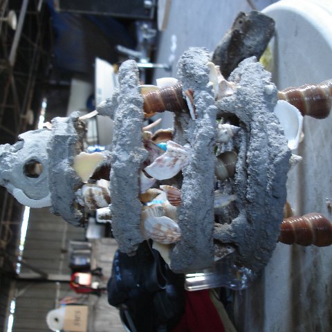 DSC02324 DSC02324