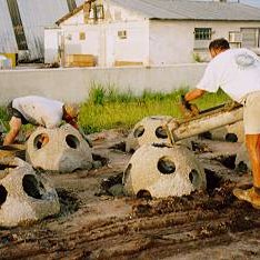 bayinbases1 bayinbases1