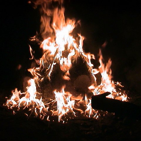 dsc00158 dsc00158