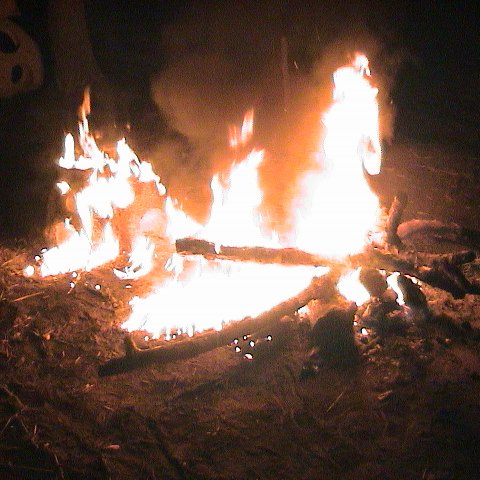 dsc00159 dsc00159