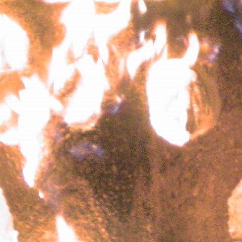 dsc00161 dsc00161
