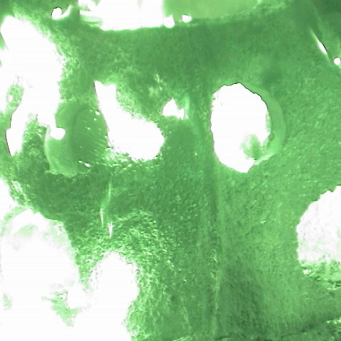 dsc00162 dsc00162